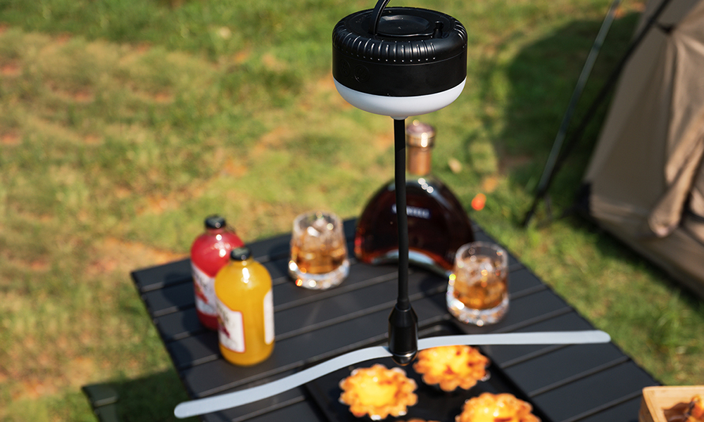 Battery-Powered fly repellent fan