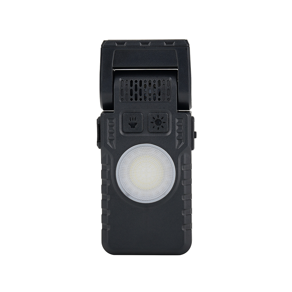 Portable Carbon Monoxide Detector with Flashlight