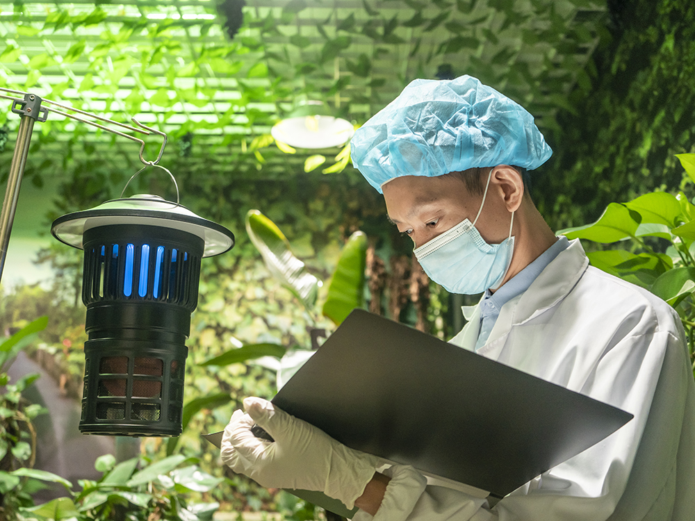 Simulated Outdoor Mosquito Killing Effect Test Chamber-3